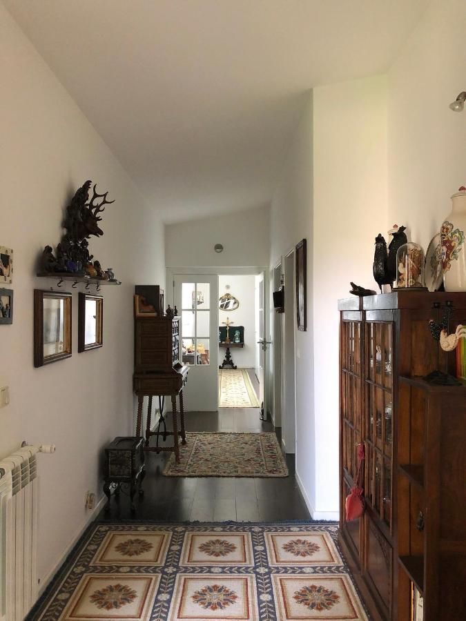 Casa Do Galo / Galo House Villa Vimioso ภายนอก รูปภาพ