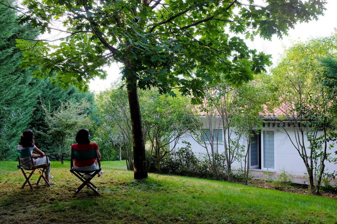 Casa Do Galo / Galo House Villa Vimioso ภายนอก รูปภาพ